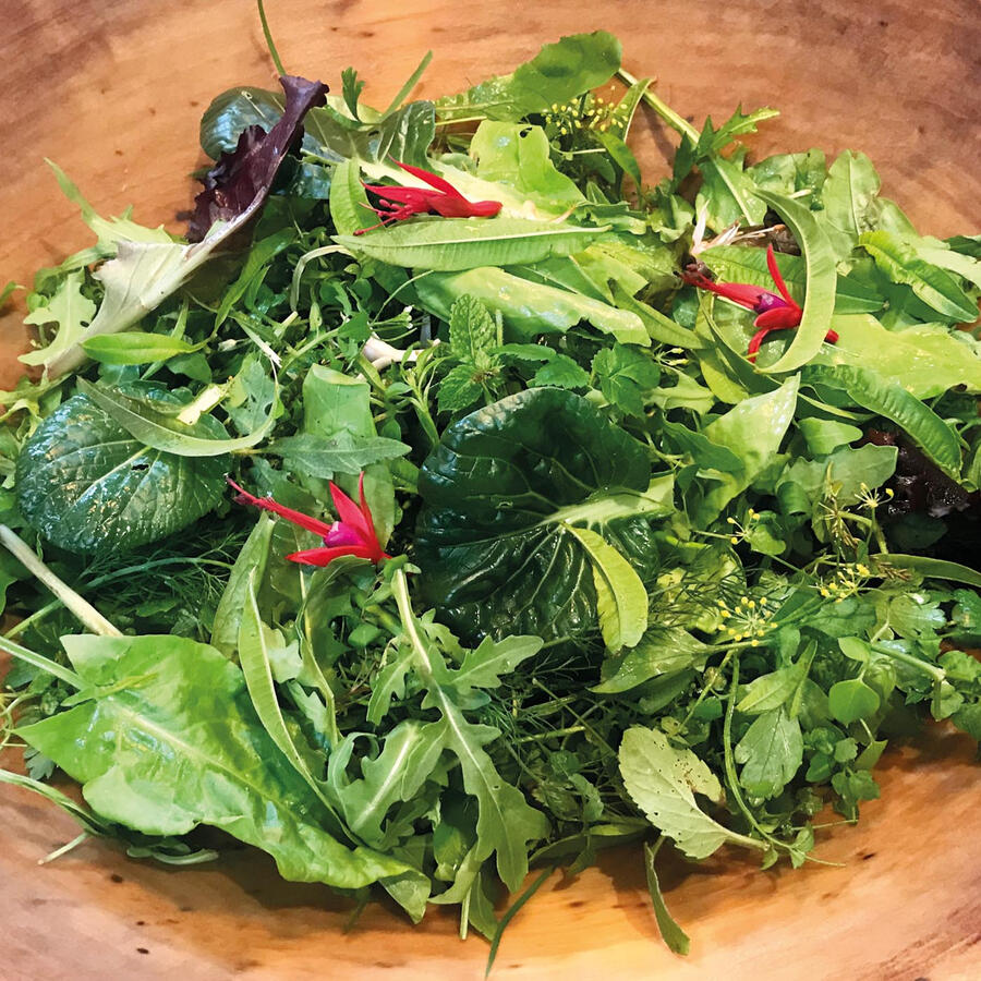 Foraged salad Foraged salad