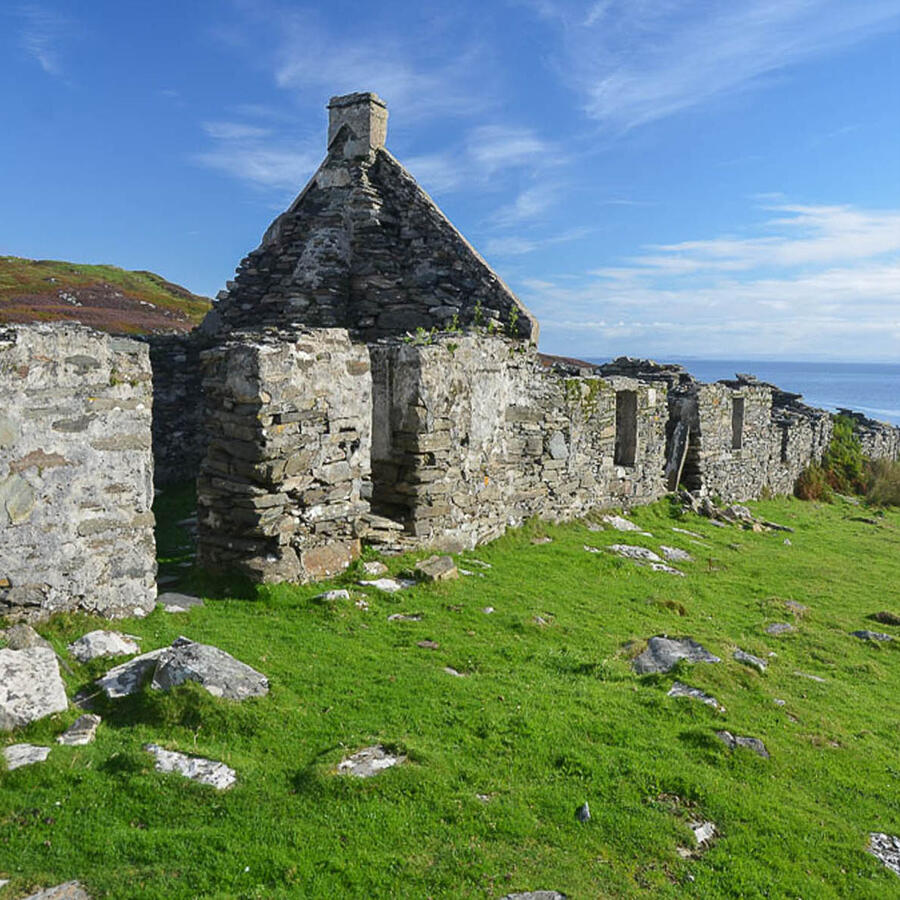 Riasg Buidhe